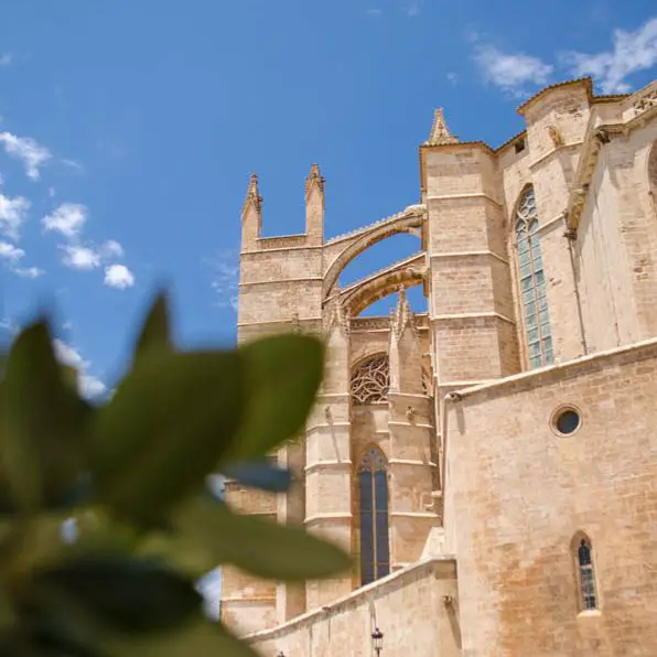 Palma Entdecker Kathedrale