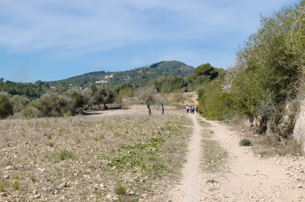 Cala Magraner