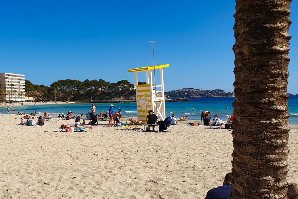 Der Strand Palmira in Paguera