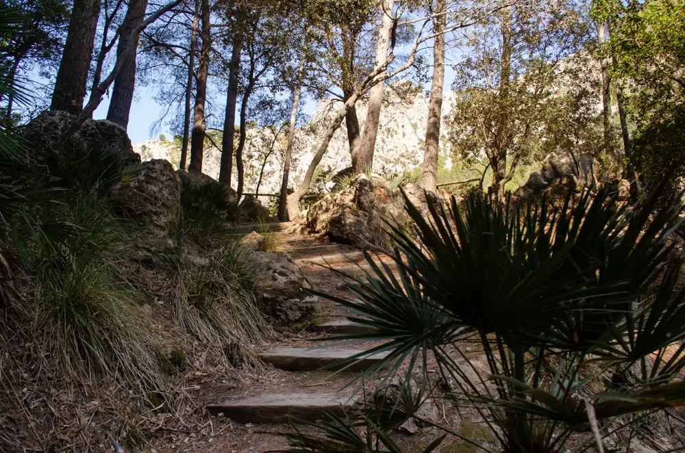 Wandern im Naturpark La Reserva