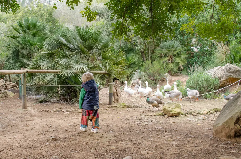 Reserva Park Tierpark bei Puigpunyent