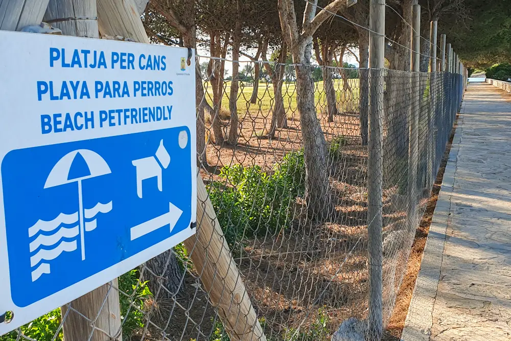 Hundefreundlicher Strand Alcanada