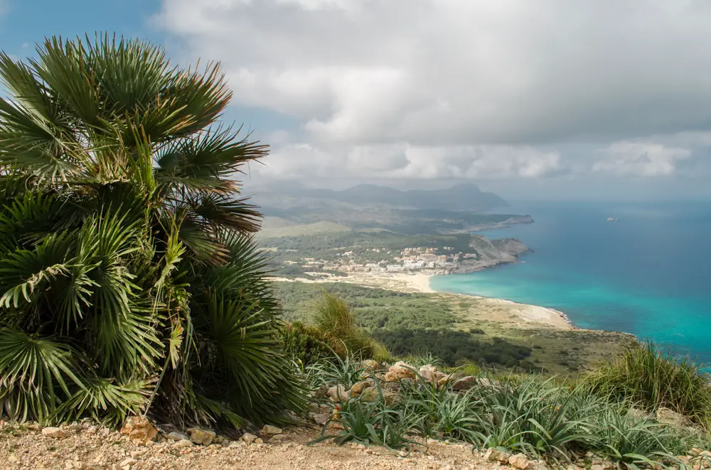 Blick auf Cala Mesquida