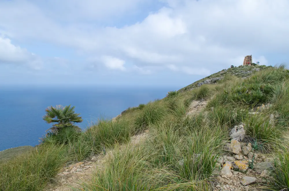 Der Wachturm bei Cala Mesquida