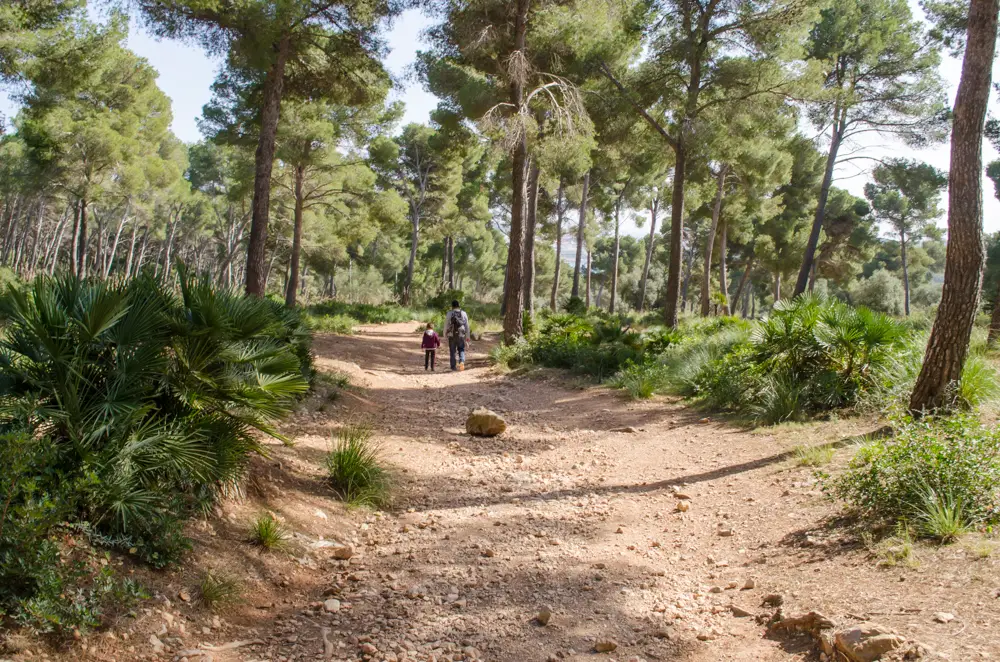 Wandern im Naturschutzgebiet bei Cala Ratjada