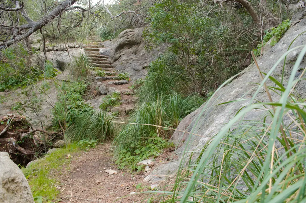 Idyllischer Waldweg