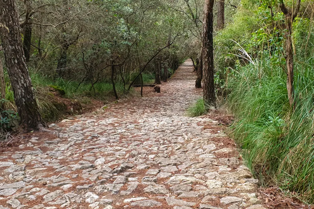 Wanderung auf dem Camí de Correu von Esporles nach Banyalbufar