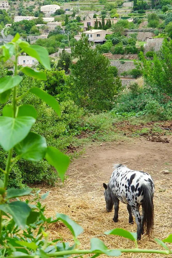 Terrassen für Landwirtschaft und Nutztiere