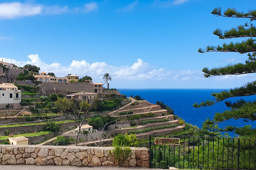 Terrassierte Felder in Banyalbufar, Mallorca, mit Blick auf das tiefblaue Mittelmeer. Über den Hang verteilt stehen Häuser in warmen Erdtönen und Steinmauern, ergänzt durch eine einzelne Palme, die die friedliche Szenerie unterstreicht. Der strahlend blaue Himmel und das grüne Laub bilden einen malerischen Kontrast.